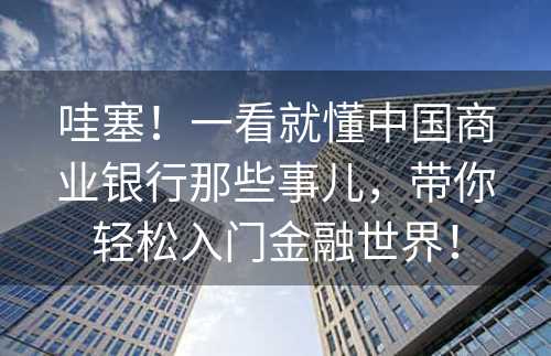 哇塞！一看就懂中国商业银行那些事儿，带你轻松入门金融世界！