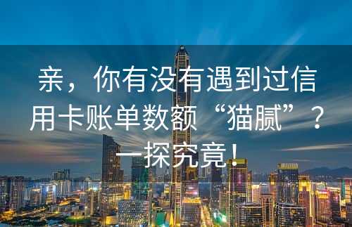 亲，你有没有遇到过信用卡账单数额“猫腻”？一探究竟！