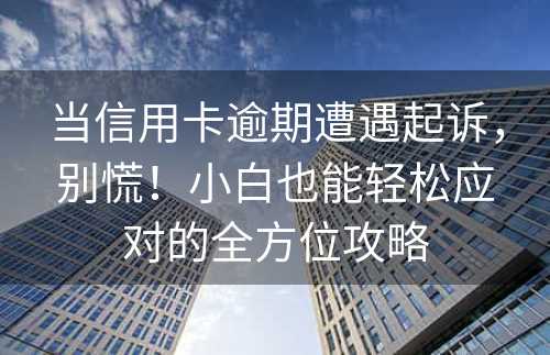 当信用卡逾期遭遇起诉，别慌！小白也能轻松应对的全方位攻略