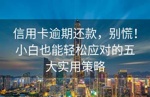 信用卡逾期还款，别慌！小白也能轻松应对的五大实用策略