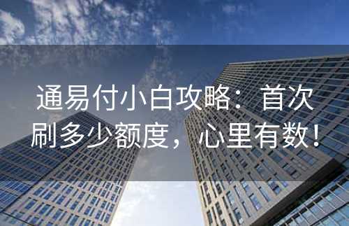 通易付小白攻略：首次刷多少额度，心里有数！