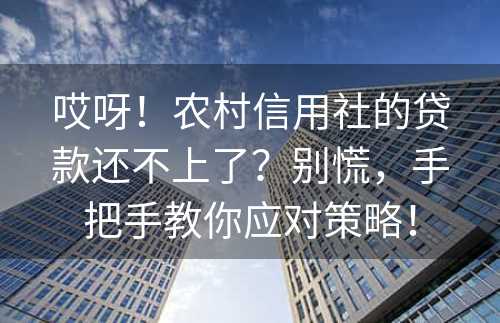 哎呀！农村信用社的贷款还不上了？别慌，手把手教你应对策略！