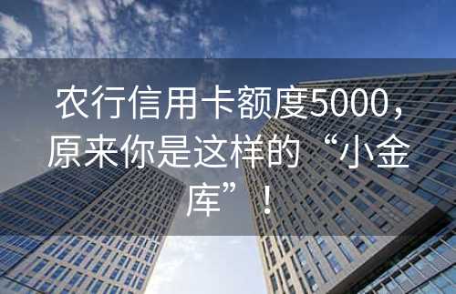 农行信用卡额度5000，原来你是这样的“小金库”！