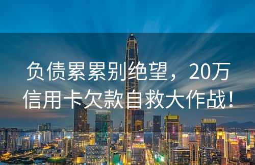 负债累累别绝望，20万信用卡欠款自救大作战！