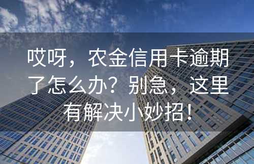 哎呀，农金信用卡逾期了怎么办？别急，这里有解决小妙招！