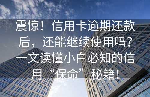 震惊！信用卡逾期还款后，还能继续使用吗？一文读懂小白必知的信用“保命”秘籍！