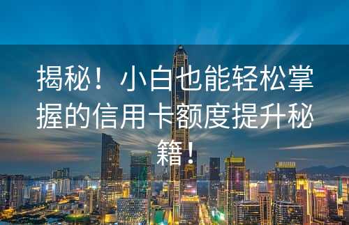 揭秘！小白也能轻松掌握的信用卡额度提升秘籍！