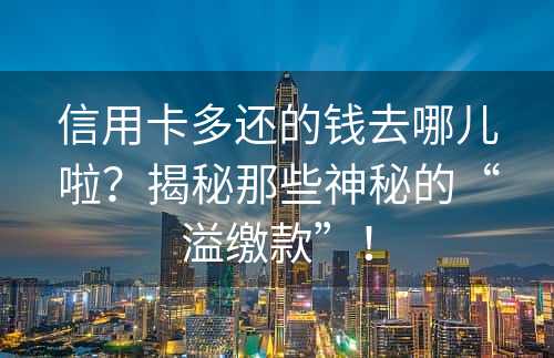 信用卡多还的钱去哪儿啦？揭秘那些神秘的“溢缴款”！