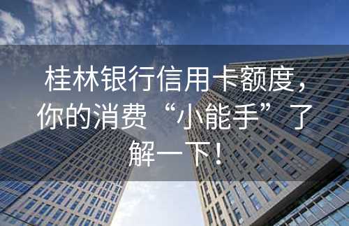 桂林银行信用卡额度，你的消费“小能手”了解一下！