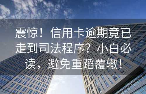 震惊！信用卡逾期竟已走到司法程序？小白必读，避免重蹈覆辙！