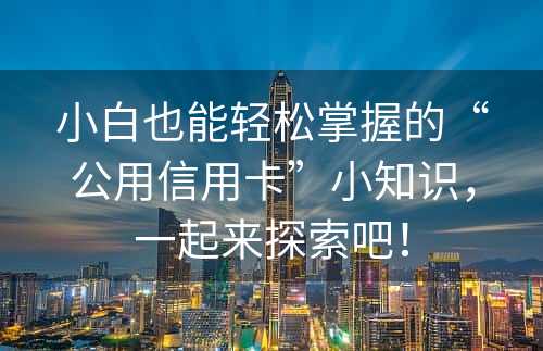 小白也能轻松掌握的“公用信用卡”小知识，一起来探索吧！