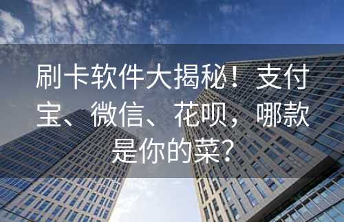 刷卡软件大揭秘！支付宝、微信、花呗，哪款是你的菜？