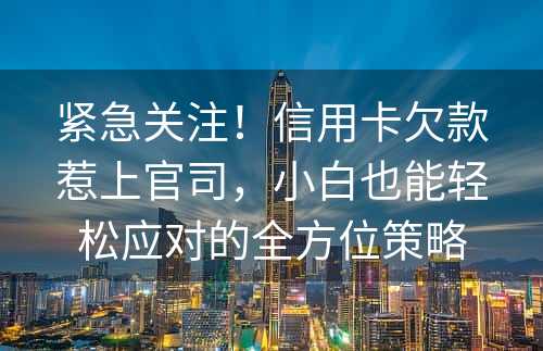 紧急关注！信用卡欠款惹上官司，小白也能轻松应对的全方位策略