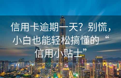 信用卡逾期一天？别慌，小白也能轻松搞懂的“信用小贴士”