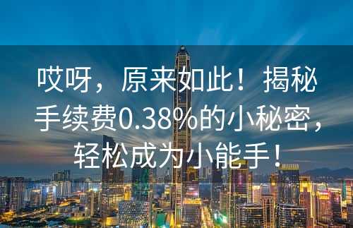 哎呀，原来如此！揭秘手续费0.38%的小秘密，轻松成为小能手！