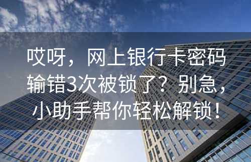 哎呀，网上银行卡密码输错3次被锁了？别急，小助手帮你轻松解锁！