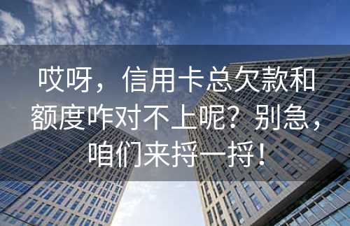 哎呀，信用卡总欠款和额度咋对不上呢？别急，咱们来捋一捋！