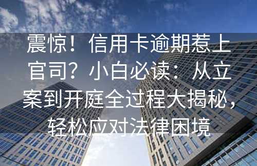 震惊！信用卡逾期惹上官司？小白必读：从立案到开庭全过程大揭秘，轻松应对法律困境