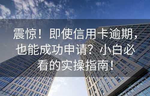 震惊！即使信用卡逾期，也能成功申请？小白必看的实操指南！