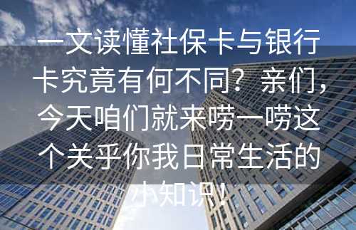 一文读懂社保卡与银行卡究竟有何不同？亲们，今天咱们就来唠一唠这个关乎你我日常生活的小知识！