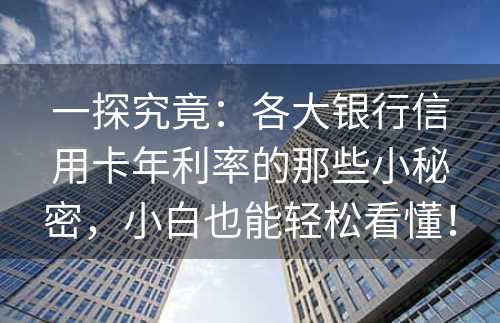 一探究竟：各大银行信用卡年利率的那些小秘密，小白也能轻松看懂！