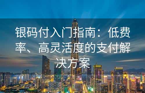 银码付入门指南：低费率、高灵活度的支付解决方案