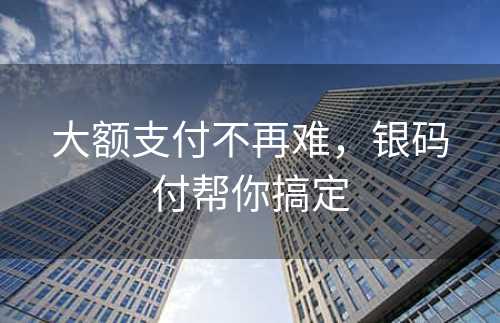 大额支付不再难，银码付帮你搞定