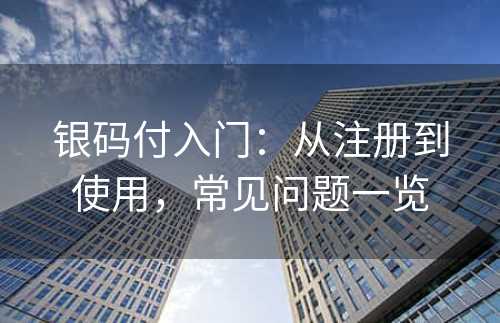 银码付入门：从注册到使用，常见问题一览