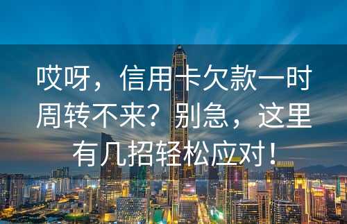 哎呀，信用卡欠款一时周转不来？别急，这里有几招轻松应对！