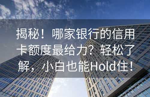 揭秘！哪家银行的信用卡额度最给力？轻松了解，小白也能Hold住！