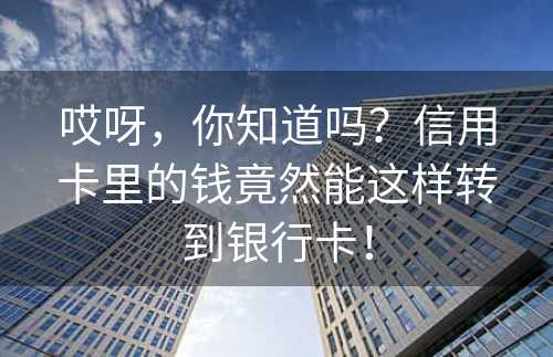 哎呀，你知道吗？信用卡里的钱竟然能这样转到银行卡！