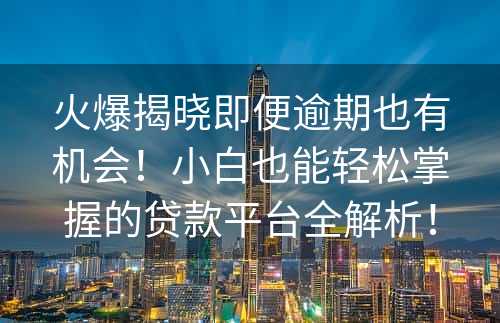 火爆揭晓即便逾期也有机会！小白也能轻松掌握的贷款平台全解析！