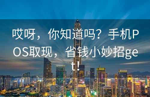 哎呀，你知道吗？手机POS取现，省钱小妙招get！