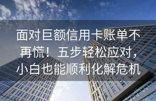 面对巨额信用卡账单不再慌！五步轻松应对，小白也能顺利化解危机