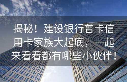 揭秘！建设银行普卡信用卡家族大起底，一起来看看都有哪些小伙伴！