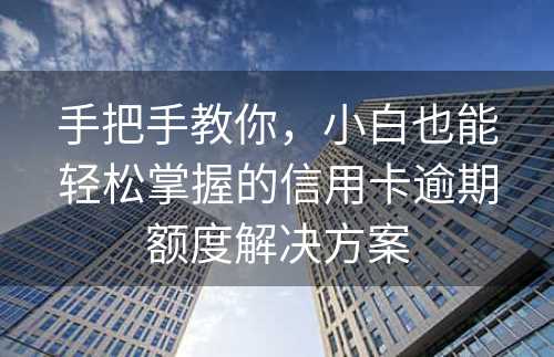 手把手教你，小白也能轻松掌握的信用卡逾期额度解决方案