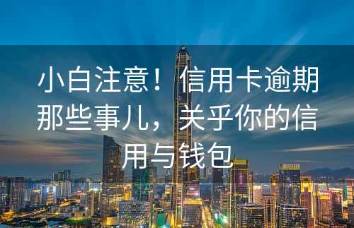 小白注意！信用卡逾期那些事儿，关乎你的信用与钱包