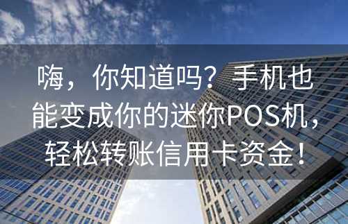 嗨，你知道吗？手机也能变成你的迷你POS机，轻松转账信用卡资金！