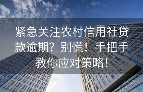 紧急关注农村信用社贷款逾期？别慌！手把手教你应对策略！