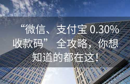 “微信、支付宝 0.30% 收款码” 全攻略，你想知道的都在这！