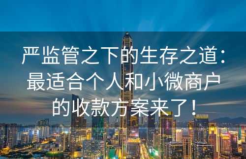 严监管之下的生存之道：最适合个人和小微商户的收款方案来了！