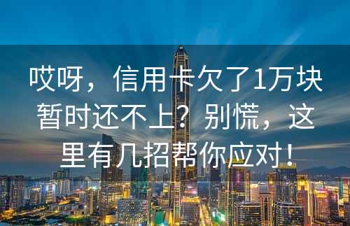 哎呀，信用卡欠了1万块暂时还不上？别慌，这里有几招帮你应对！