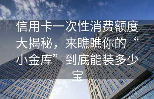 信用卡一次性消费额度大揭秘，来瞧瞧你的“小金库”到底能装多少宝