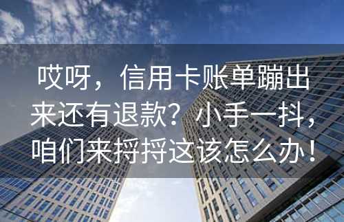 哎呀，信用卡账单蹦出来还有退款？小手一抖，咱们来捋捋这该怎么办！