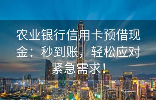 农业银行信用卡预借现金：秒到账，轻松应对紧急需求！