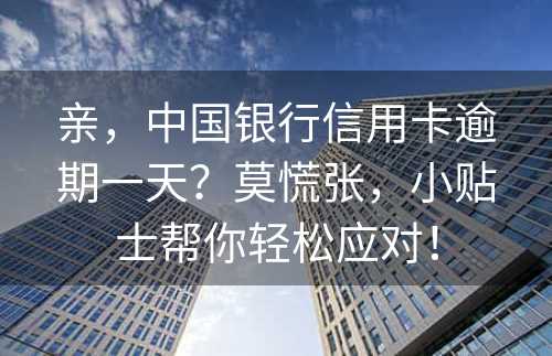 亲，中国银行信用卡逾期一天？莫慌张，小贴士帮你轻松应对！