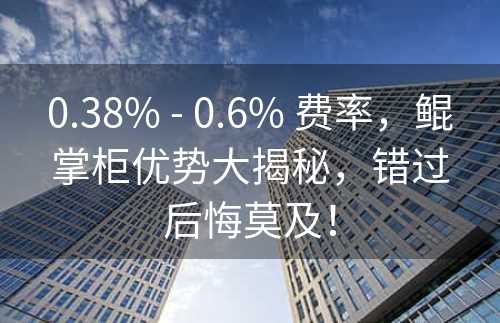 0.38% - 0.6% 费率，鲲掌柜优势大揭秘，错过后悔莫及！