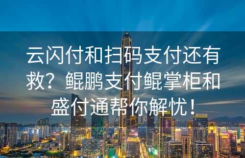 云闪付和扫码支付还有救？鲲鹏支付鲲掌柜和盛付通帮你解忧！