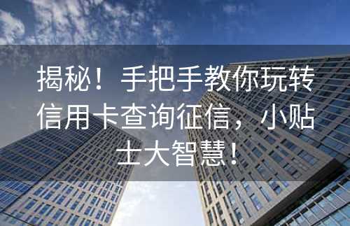 揭秘！手把手教你玩转信用卡查询征信，小贴士大智慧！